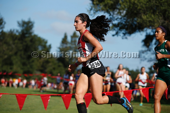 2014StanfordCollWomen-163.JPG - College race at the 2014 Stanford Cross Country Invitational, September 27, Stanford Golf Course, Stanford, California.